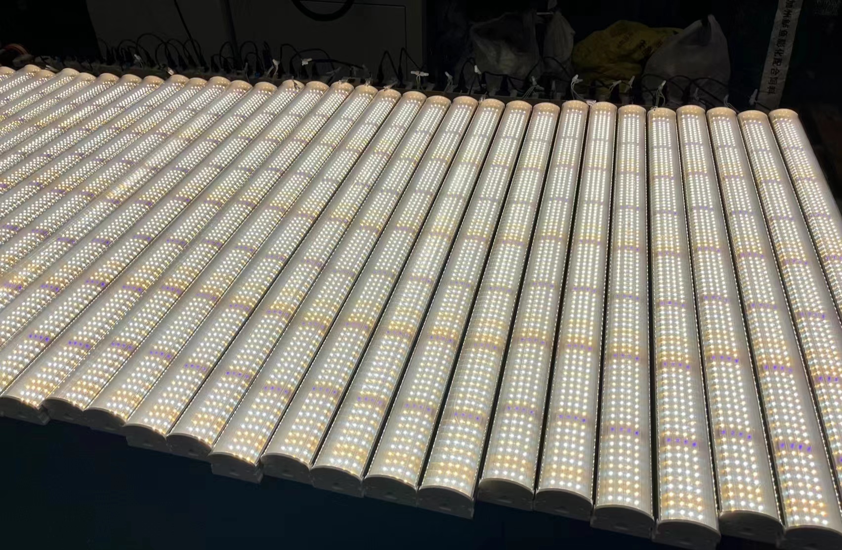 LED Grow Lights สำหรับโรงเรือน