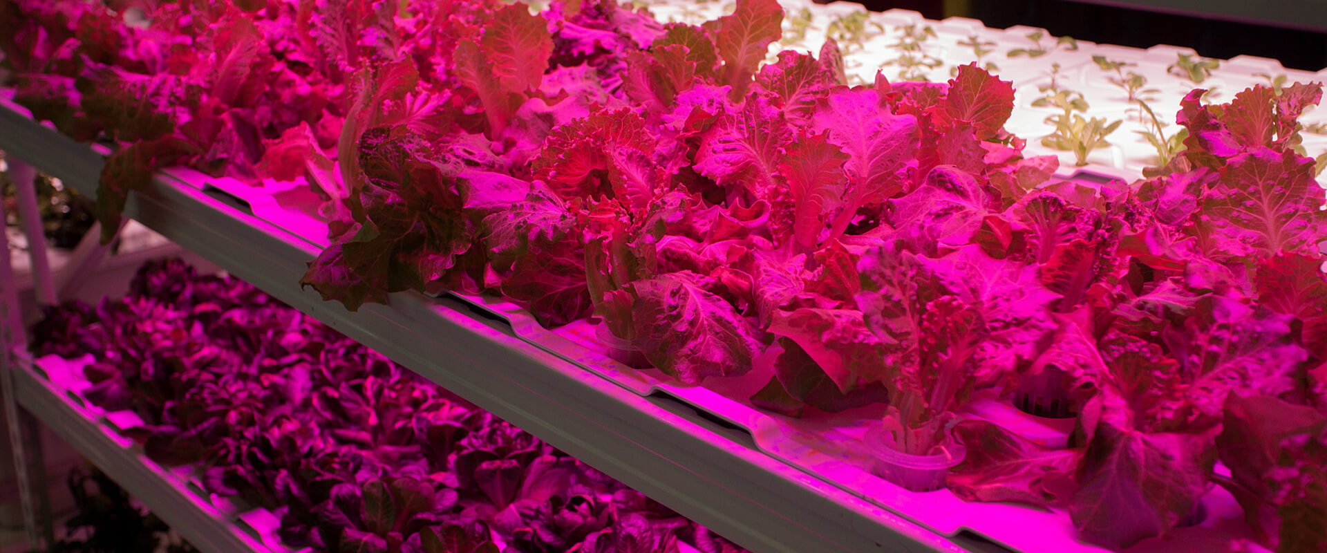 indoor farming equipment