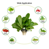 ปลูกเมล็ดพันธุ์เริ่มต้นได้กับฟองน้ำที่เข้ากันได้กับ Aerogarden Refill Seed Pods Replacements การเจริญเติบโตของรากฟองน้ำสำหรับ Hydroponic ในร่ม