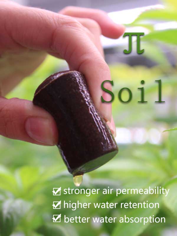 主 11