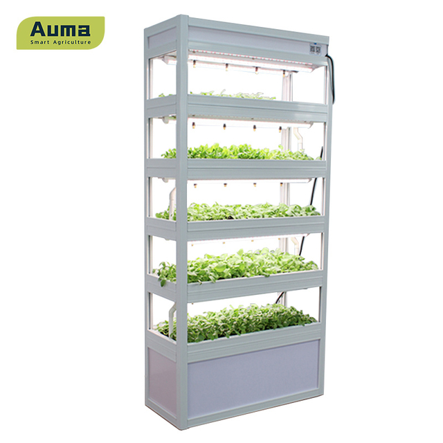 เครื่องยกต้นกล้าไฮโดรโปนิกส์สำหรับการทำฟาร์มในร่ม