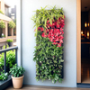 การปลูกผนังพืชแผงดินพืชพื้นผิวแนวตั้ง Greenwall Living Living Living Wall Wall Wall