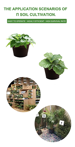 สื่อที่กำลังเติบโตของ Coco Peat