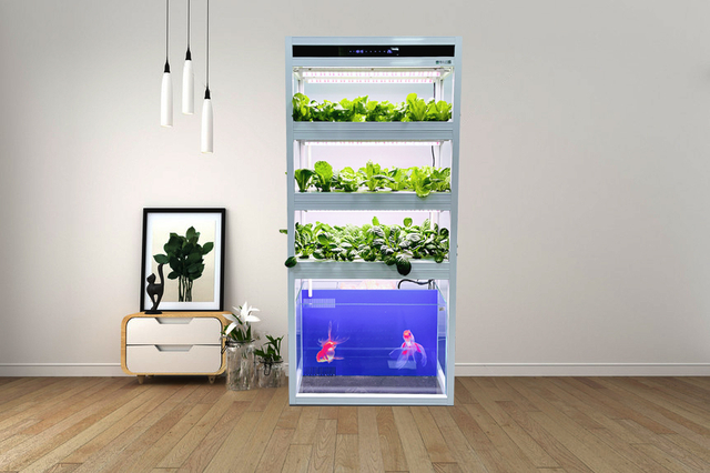 หลักการและเทคนิคของ Aquaponics