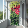 การปลูกผนังพืชแผงดินพืชพื้นผิวแนวตั้ง Greenwall Living Living Living Wall Wall Wall