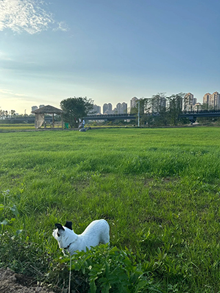 ฟาร์มเมือง