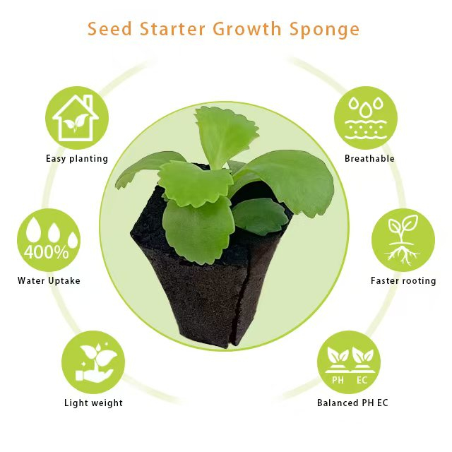 สื่อการเจริญเติบโตของพืชที่ปรับแต่งได้ - ดินพีทอินทรีย์สำหรับระบบไฮโดรโพนิก