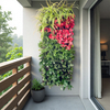 การปลูกผนังพืชแผงดินพืชพื้นผิวแนวตั้ง Greenwall Living Living Living Wall Wall Wall