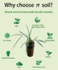Soilless Soilless Hydroponic Planting Medium สำหรับผีเสื้อกล้วย