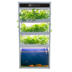 อุปกรณ์ระบบ Auma Aquaponic สำหรับคนรักปลา