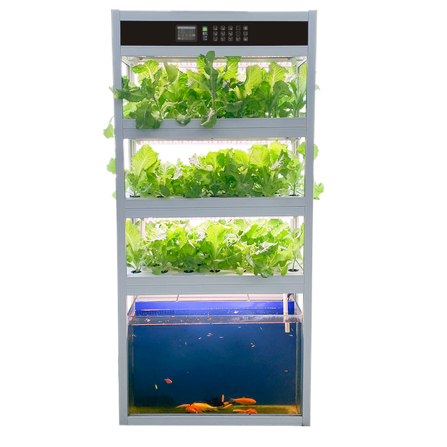 อุปกรณ์ระบบ Auma Aquaponic สำหรับคนรักปลา