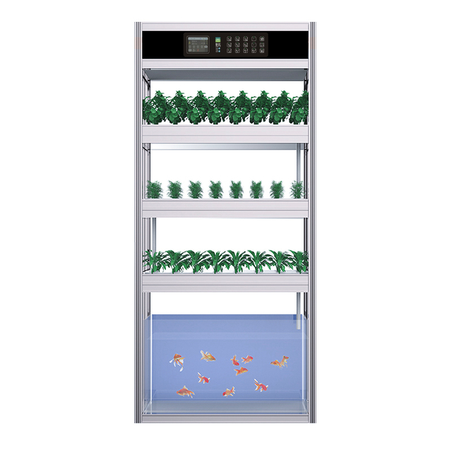 อุปกรณ์ระบบ Auma Aquaponic สำหรับคนรักปลา