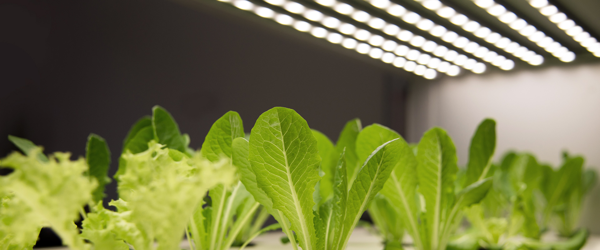 indoor farming equipment