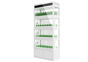 AUMA Hydroponic เติบโตตู้สำหรับสำนักงาน