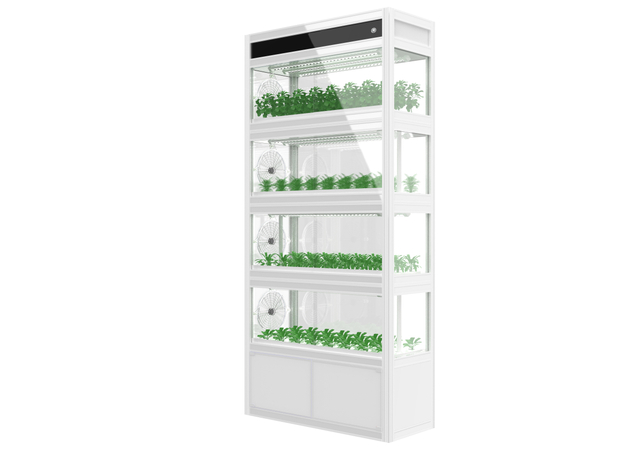 AUMA Hydroponic เติบโตตู้สำหรับสำนักงาน