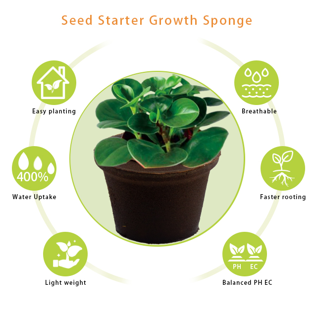 กระถางฟองน้ำเกษตรกรรมในสวน Planters เมล็ดเริ่มต้นการเปลี่ยนฟองน้ำสำหรับตัดและโคลน